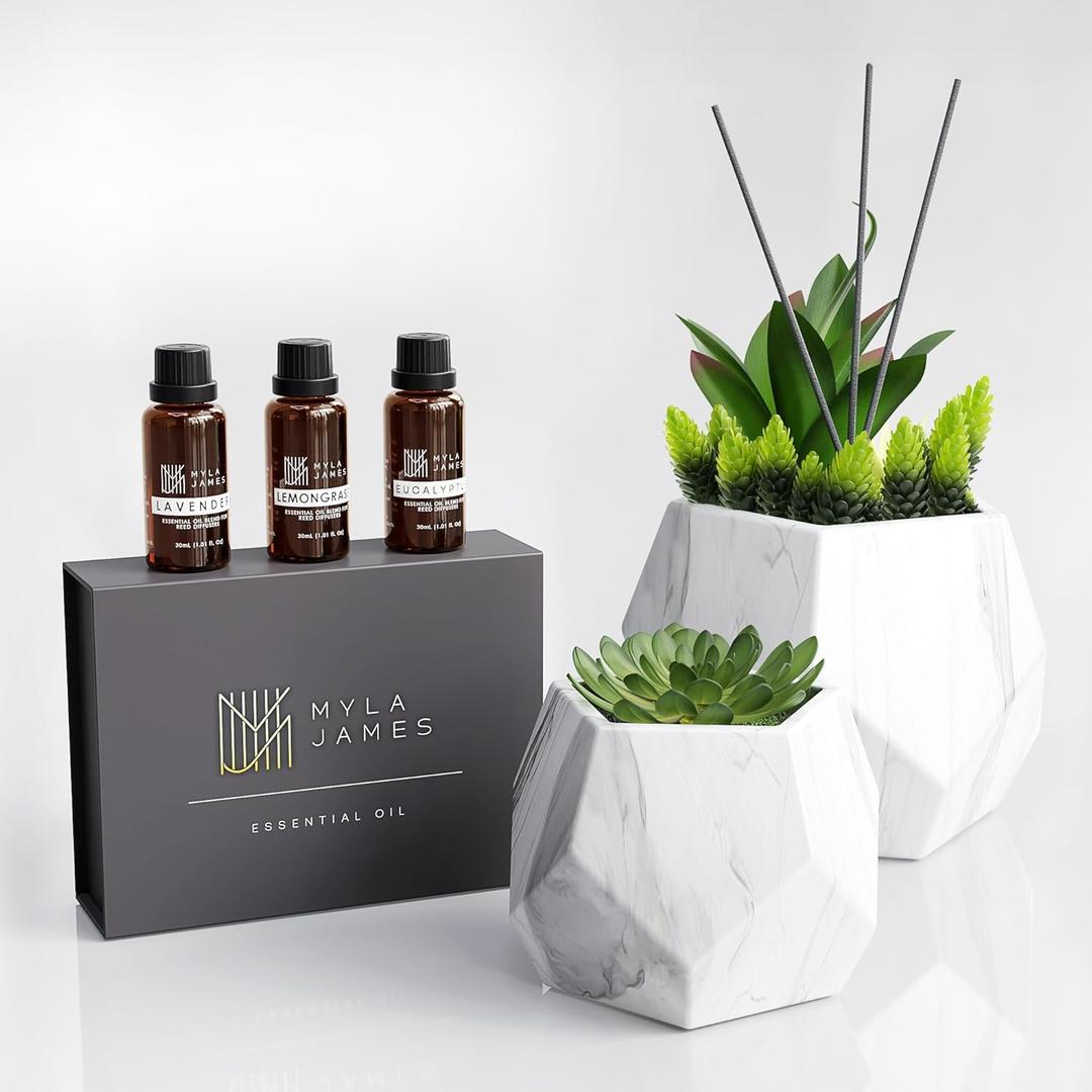 2in1 Reed Diffusers for Home & Faux Succulents Plants Artificial Set-Ceramic Potted Succulents x2 Pcs, Home Fragrance w/Lavender, Lemongrass, Eucalyptus Essential Oilx3 bottles 30ml with 9 Reed Sticks