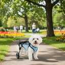 Dog Wheelchair for Back Legs - Adjustable Small Dog Wheelchair with 1.5mm Thickened Frame, Mobility Aid Support Cart for Disabled Hind Legs Rehab, Walking Wheels for Small Dogs