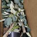 2Pcs 6FT Artificial Dracaena Tree, Tall Artificial Plants Indoor