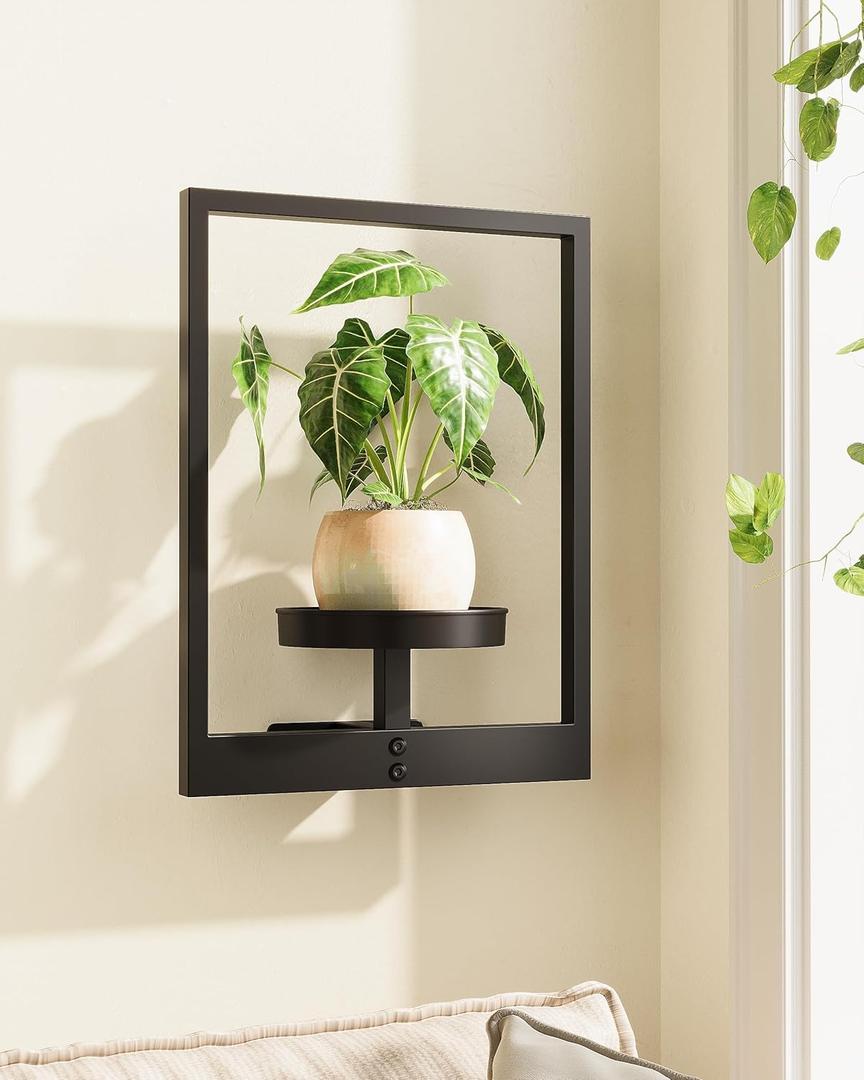 Picture Frames Wall Decor Plant Stand Indoor Wall Planters for Indoor Plants Plant Holder Plant Wall Shelf Hanging Planters Plant Hanger Outdoor for Living Room, Window, or Balcony