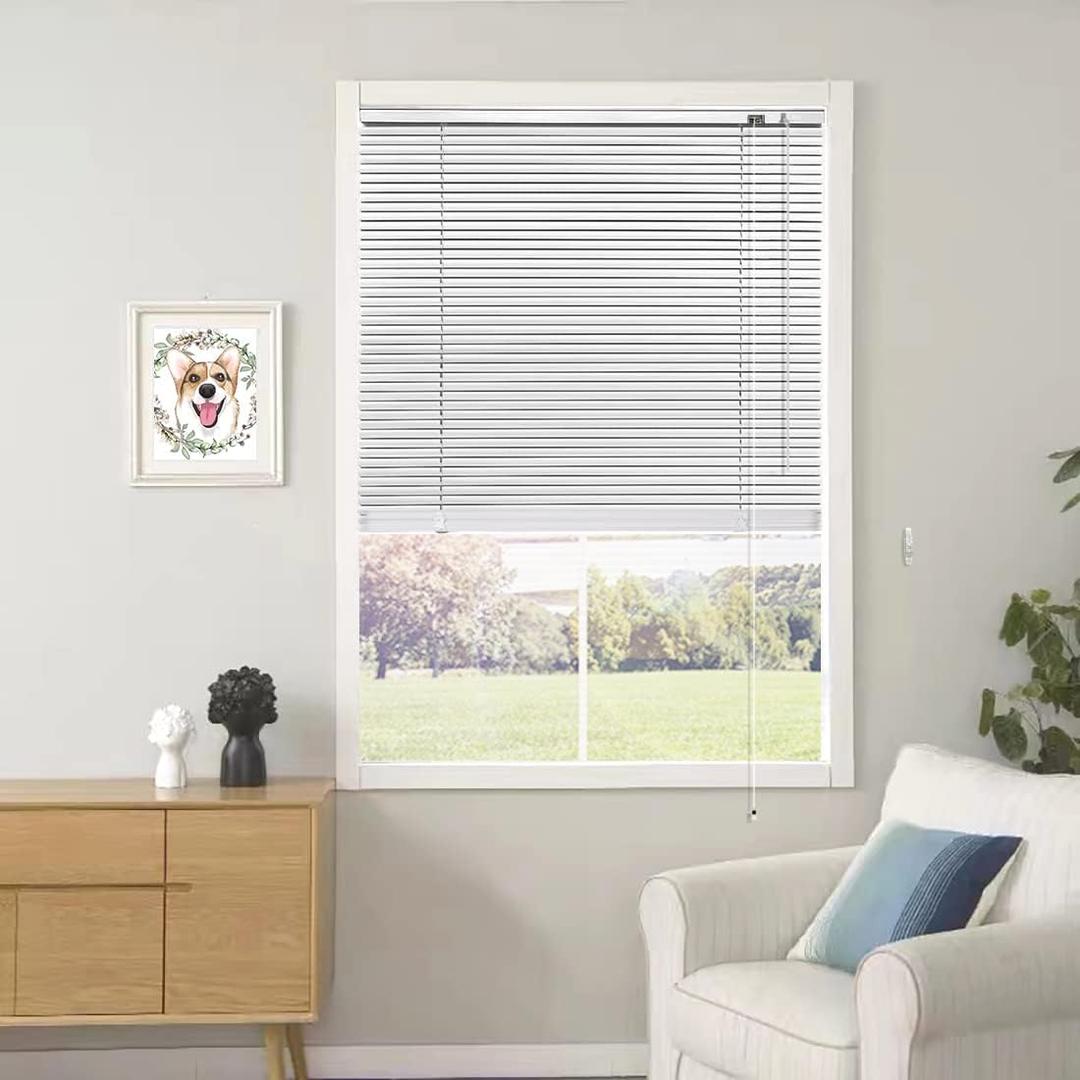 YIIBAII Mini Blinds Suitable for 33" W x 64" H Windows 1" Aluminum Horizontal Venetian Blinds Darkening with Rope and Pole can Mounted Inside or Outside