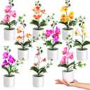 8 Pack Artificial Orchid Flowers Mini Potted Orchids Fake Orchids with Plastic Vase for Table Centerpiece Home Office Wedding Desktop Decoration (8 Colors)