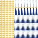 Cindeer 100 Pcs Mini Graduation Tassels with 100 Pcs 2025 Tassel Charms for Crafts Mini Silky Bookmark for Graduation Cap Keychain Ornaments DIY Craft Jewelry Making Project(Blue)