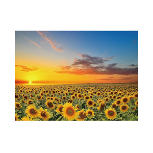 1000 Pieces Puzzles for Adults Sunflower Jigsaw Puzzles Flowers Floor Puzzle Kids DIY Toys for Creative Gift Home Decor
