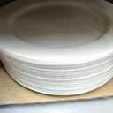 I00000 100 Pcs Ivory Plastic Plates,10inch Cream Dinner Plate, Elegant Disposable Plates Perfect for Birthday, Party,Wedding, Baby & Bridal Shower (100 Guests)