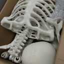 LINAYE 2 Pack 5.4ft Life Size Halloween Skeleton with Movable Joints