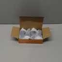 Portable LED Tent Lamp Emergency Lights with Hook, Hurricane Bulb Lantern Equipment for Camping, Hiking, Backpacking, Fishing Outage, Multicolor, 4 Pack