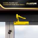 Heavy Duty, Commercial Door Closer D8000DA, ANSI Grade 1, UL 3 Hour Fire Rated, ADA Compliant, Delayed Action, Adjustable Spring Size 1-6 for Doors(44-330LB/30-60 in), Indoor/Outdoor (Brass Gold)