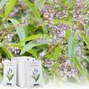 MYARO Scented Sachets for Drawers and Closets, Air Freshener Deodorizer Bags, Fresh Home Fragrance Potpourri, 12 Pack (Lemon Verbena)