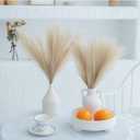 ChagoArt-Pampas Grass Decor Tall-Faux Pampas Grass Small 17"-6 Stems-Beige and Taupe-Brown-Pompas Floral-Fake Pampas Grass-Artificial Pampas Grass Vase-Dried Pampas Grass-Pompous Grass Branches Large