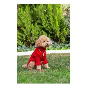 Small/Medium Dog Sweater, Warm Dog Winter Coat w/Sleeves, Comfortable High Neck Premium Dog Clothes for Mini Poodle-Best for Holidays, Daily Walks L Red