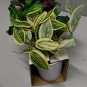 Hollyone Fake Plants 6 Pack Artificial Plants Indoor Faux Plant Small Fake Potted Plant for Home Aesthetic Living Room Bathroom Desk Shelf Office Decor (Style 7)