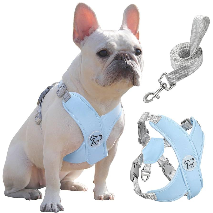 Pawaboo Small Dog Harness and Leash Set, Puppy Harness X-Frame No Pull No Choke, Dog Vest Harness Adjustable for Small Medium Sized Dogs, Soft Breathable Pet Harness for Walking Outing (S, Blue)