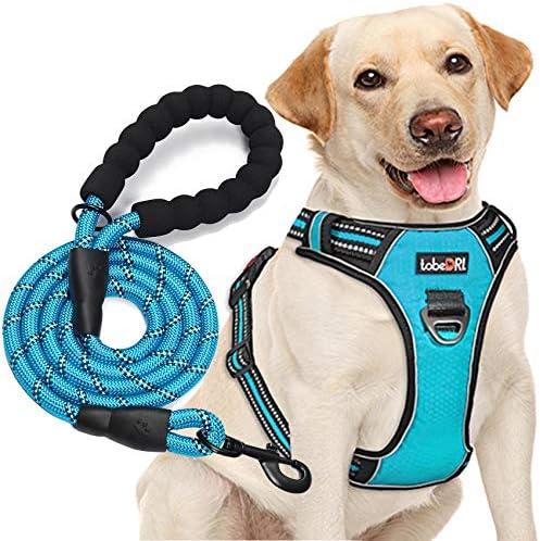 tobeDRI No Pull Dog Harness Adjustable Reflective Oxford Easy Control Medium Large Dog Harness with A Free Heavy Duty 5ft Dog Leash (S (Neck: 13"-18", Chest: 17.5"-22"), Blue Harness+Leash)