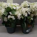 Faux Hydrangea Tree 30" Tall (2 Pack), Artificial Hydrangea Plant in Pot with White Flowers, Realistic Hydrangea Tree for Indoor Outdoor Porch, Patio, Home Decor
