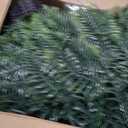 FOTEEWL Artificial Ferns Hanging Basket for Outdoor - 2 Sets Sun-Resistant Lifelike Plants Fake Fern Faux Greenery Bush for Porch, Home Garden, Farmhouse, Eaves, Yard Decor