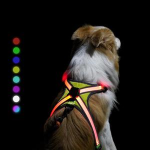 Light Up Dog Harness Type-C Rechargeable LED Dog Harness with RGB Multi-Colour Lighting Mode & 500mAh Battery, 500m Visible Waterproof Glow in The Dark Safety Vest for Night Walking, Avoid Accident