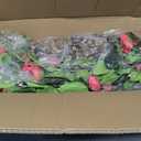 UPBUD Artificial Camellia Tree 2 Pack, 3.3FT Fake Camellia Plant with 30 Blooming Pink Flowers & Planter, Tall Faux Floral Plants Flower Trees for Indoor Modern Home Office Front Porch Floor Decor