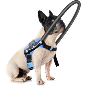 Blind Dog Harness, Guiding Halo with Protective Vest - Adjustable Support Harness to Calm & Guide Blind Pets, Confidence Building Leash Attachment for Safe Walking and Training (XS)