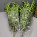 Dkaltm Artificial Boston Fern Bush- Set of 2 Large Artificial Ferns for Outdoors, 45Inch Large Faux Ferns, Suitable for Office & Living Room Decor, 55Branches for Each Bouquet