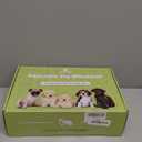 Upgraded Dog Wheelchair for Back Legs - Lightweight Mobility Cart for Small Breed Dogs with Disabled, Injured, or Arthritic Hind Legs - Includes High-Visibility Vest, Leash & Sling Lift -Medium