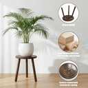 3-Pack Plant Stand Indoor, Single Wood Plant Stand for 6-12 Inch Pots, Modern Plant Stool for Large Plants, Wooden Plant Table Tall Plant Holder for Living Room Balcony Office (Dark Brown)