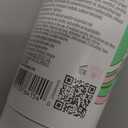 Pacifica Shampoo & Conditioner Set – Rosemary Purify Invigorating Set with Cooling Mint for Clarifying and Detoxing, Sulfate-Free, Vegan & Cruelty-Free, 12 oz & 8 oz (Set of 2)