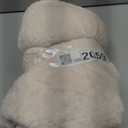 MOONQUEEN 2 Pack Premium Bath Towel Set - Quick Drying - Microfiber Coral Velvet Highly Absorbent Towels - Multipurpose Use as Bath Fitness, Bathroom, Shower, Sports, Yoga Towel (Cream)