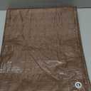 Foremost Tarp 90068 Economy Tarp, 6x8 Feet, Brown/Green