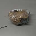 Abbott Collection Stoneware Whale Planter - Large (3" H)