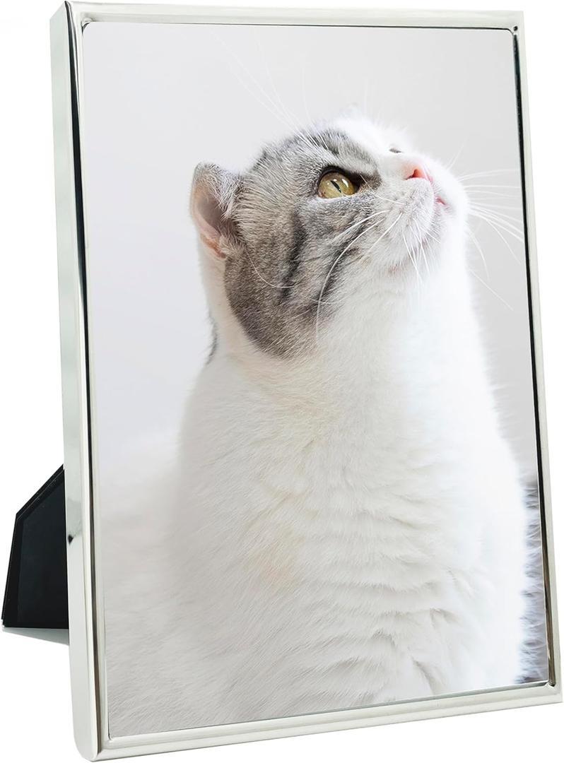 DECANIT 5x7 Picture Frame Metal, Thin Profile Photo Frame 5 by 7 Inch, Display for Wall or Tabletop,Silver