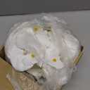 PATIKIL 2.8" Artificial Orchid Flower Heads, 80 Pack Silk Phalaenopsis Fake Butterfly Orchid Heads for Wedding Floral Bouquet Decor DIY Craft Making, Pure White