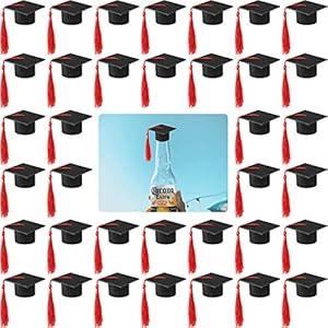 36 Pieces 2025 Mini Graduation Caps with Tassels Graduation Wine Bottle Toppers(Black Cap with Purple Tassel)