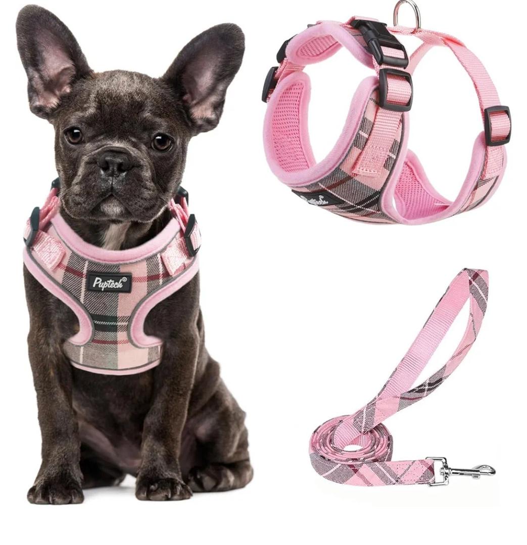 PUPTECK Soft Mesh Dog Harness and Leash Set Pet Puppy Cat Adjustable Reflective Padded Vest No Pull Harnesses, Pink, M