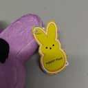 Peeps 6" Careers Bunny 2 pack
