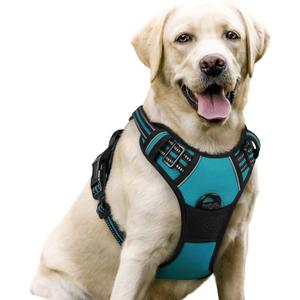 rabbitgoo Dog Harness No Pull with 2 Leash Clips, Adjustable Soft Padded, Reflective Oxford No Choke Pet Vest with Easy Control Handle for Large Dogs, Teal, L