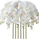 FagusHome 32" Artificial Phalaenopsis Flowers 6 Pcs Artificial Orchid Flowers Stem Plants for Home Dcor (6Pcs) (White)