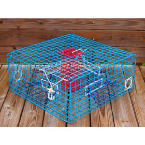 Florida Large Blue Crab Trap – 11 x 24 x 24 Recreational Blue Crab Pot – Four-Throat Saltwater Crab Trap – Heavy Duty PVC Coated Wire Fishing Trap