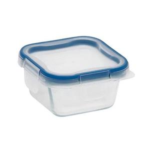 Snapware Total Solution Food Storage Container 1 cup, Pack of 3