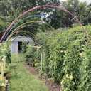 Garden Hoops Grow Tunnel, 12 Sets of 7FT Greenhouse Hoops for Raised Beds, Rust-Proof Fiberglass Frame for Garden Netting, Small Greenhouse Kit, DIY Plant Support Garden Stakes, 60 pcs