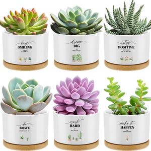 Reallnaive 6 Pcs Inspirational Succulent Pots with Bamboo Tray, Mini Ceramic Planters Appreciation Gifts for Employees Teachers Nurses Coworker Staff Team Thank You Graduation (Plants Not Included)