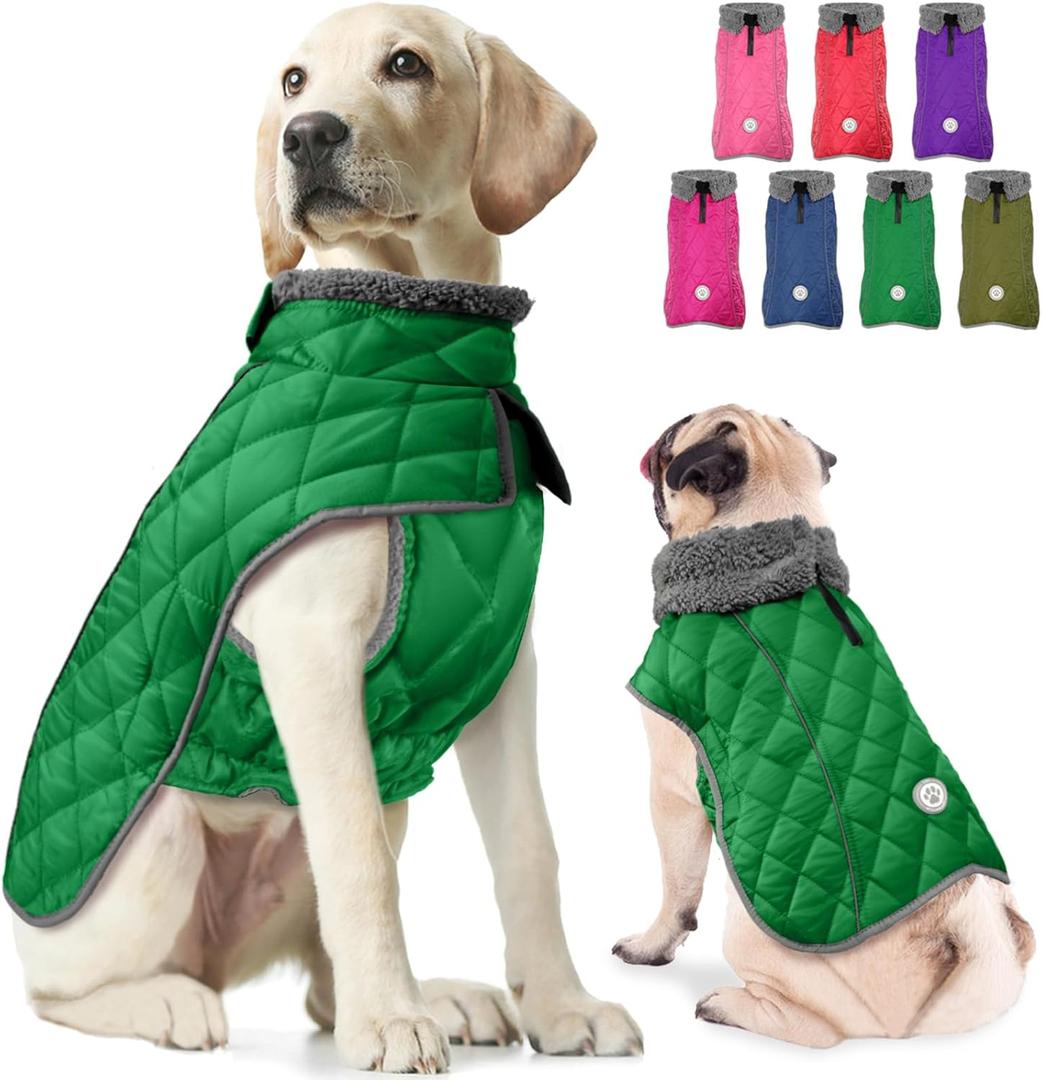 Fragralley Dog Winter Coat, Waterproof Windproof Reflective Fleece Jacket with Harness Hole, Warm Snow Vest for Medium, 20 Pound Dogs, Ideal Gifts (Green)