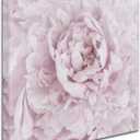 Pink Peony Flower by Cora Niele, 24x24-Inch Canvas Wall Art