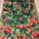 24 Artificial Boxwood Topiary Ball Tree with Rose - Set of 2 Artificial Shrub Bushes with Ground Spike, Keep Evergreen, Fake Plants for Garden Porch Countyard Patio Valentine's Day Decor