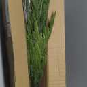 6 Pcs Christmas Norfolk Pine Branches - 36" Artificial Norfolk Branch Faux Stem Greenery Pine Picks for Vase DIY Crafts Garland Wreath Xmas Indoor Outdoor Home Decor