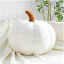 Fall Theme Pumpkin Pillows for Sofa Living Room Decor Chic White Pumpkin Halloween Decoration Pillow for Bed Home Car Bedroom,11.02"