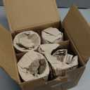 Green Glass Goblets Set of 4, 10 oz Stemmed Glasses, Hand-Pressed Vintage Glassware, Fern Embossed Colored Stemware, Boho Aesthetic Textured Drinkware, Retro Home Decor Gift Set for Housewarming