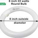 8 inch FC8T9/CW 22W Cool White Circular Fluorescent Light Bulb, Round T9 22 Watt Circline Fluorescent Lamp Bulbs 4100K 1350 Lumens, G10q 4 Pin Base, 2 Pack