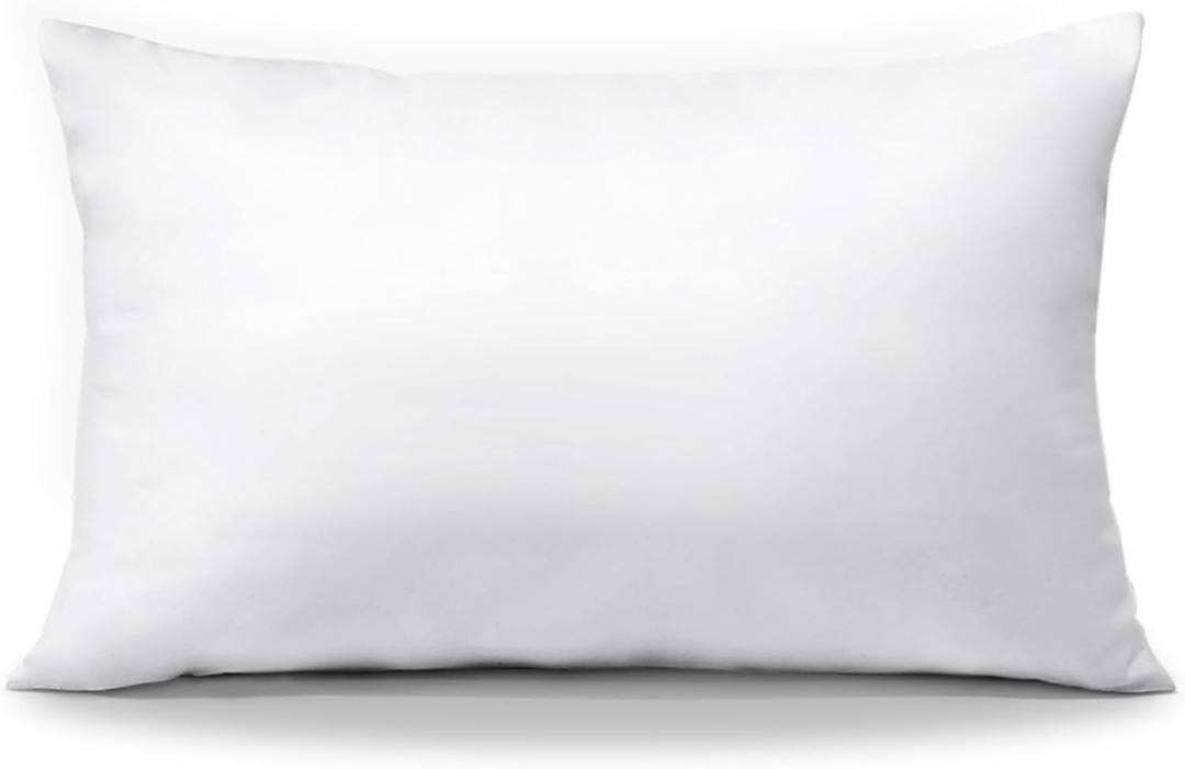 OTOSTAR Throw Pillow Insert, 16 x 24 Cushion Inner Soft Fluffy Plump Stuffer Cushion Pad White Decorative Pillow Insert