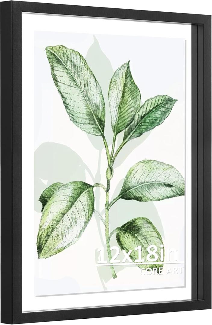 CORE ART 12x18 Floating Picture Frame,Double Plexglass Floating Frame for 11x17,9x15,8x10 Pictures,Wall or Tabletop Display,Black